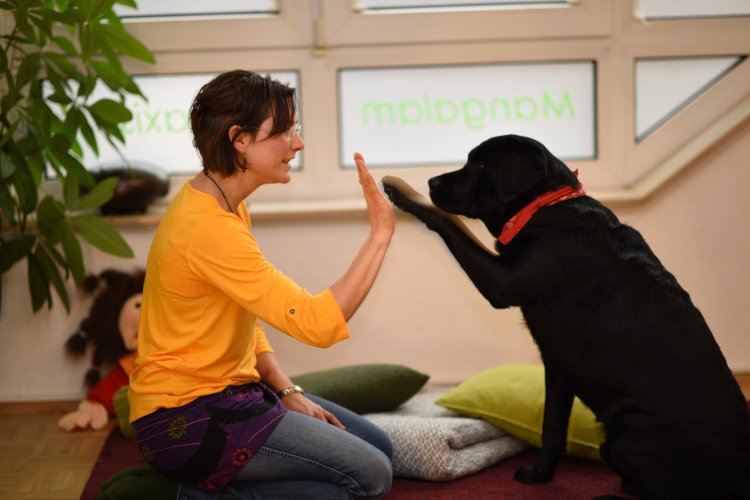 Tiergestützte Therapie mit Hund